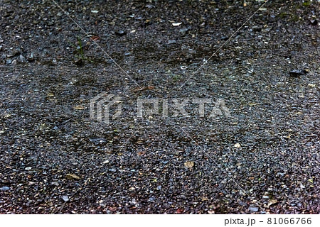 Image photo 81066766