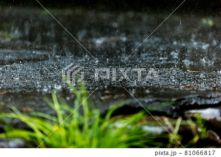 Image photo Image photo 81066817