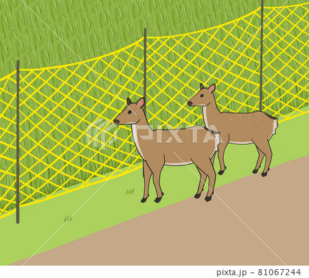 鹿除けネットのイラスト 81067244