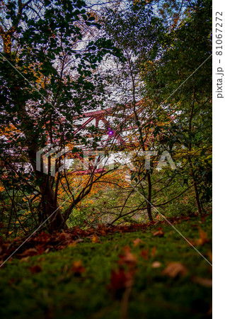 石川県山中温泉の鶴仙渓　　遊歩道　秋（2020年11月撮影） 81067272