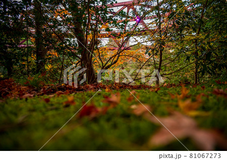 石川県山中温泉の鶴仙渓 遊歩道 秋(2020年11月撮影) 石川県山中温泉の鶴仙渓 遊歩道 秋(2020年11月撮影) 81067273