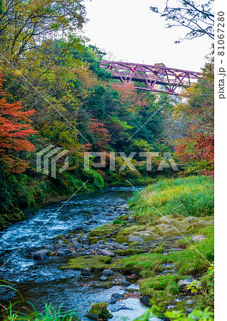 石川県山中温泉の鶴仙渓　　遊歩道　秋（2020年11月撮影） 81067280