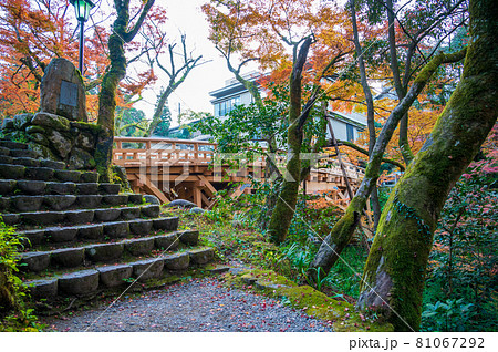 石川県山中温泉の鶴仙渓　　遊歩道　秋（2020年11月撮影） 81067292