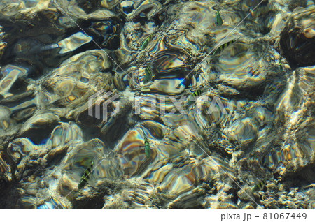 サイパン:マニャガハ島のきれいな海 サイパン:マニャガハ島のきれいな海 81067449