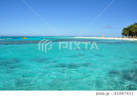 サイパン：マニャガハ島のきれいな海 81067452