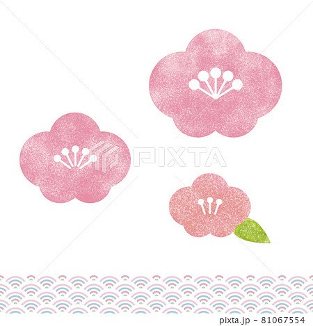 シンプルなピンクの梅の花と和柄 白地に水彩画のベクターイラスト 年賀状素材 のイラスト素材