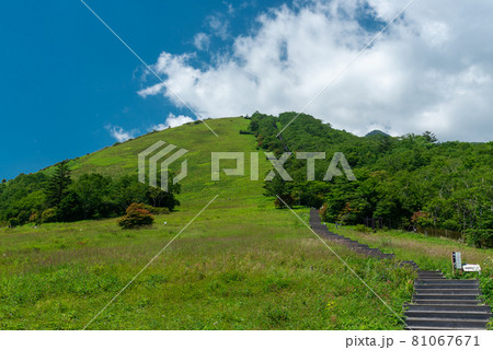 霧降高原 81067671