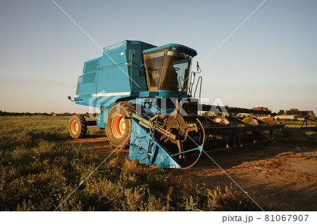 Blue combine harvester agriculture machine harvesting in a field 81067907