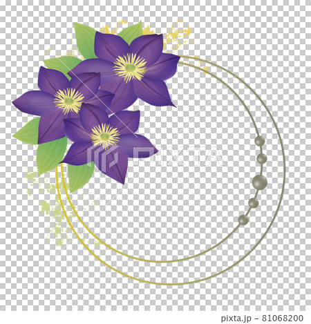 鐵線蓮花卉圖框 鐵線蓮花卉圖框 81068200