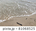 波打際と泡 81068525