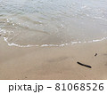 波打際 81068526