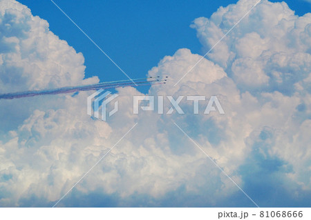 Blue Impulse ＝TOKYO 2020= 81068666