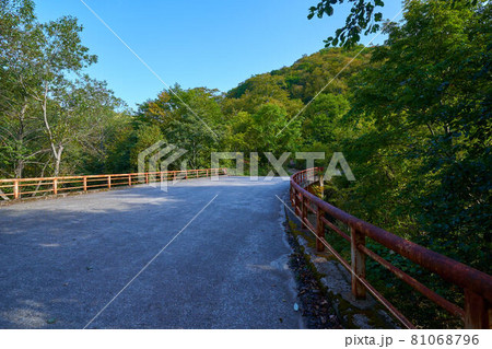 秋の尾瀬 一ノ瀬休憩所から三平橋を渡って尾瀬沼へ 81068796