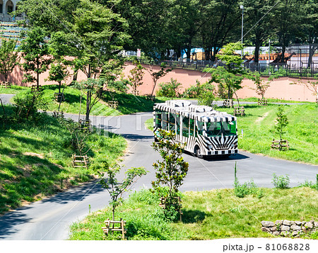 ライオン　再開されたライオンバスの景色 81068828