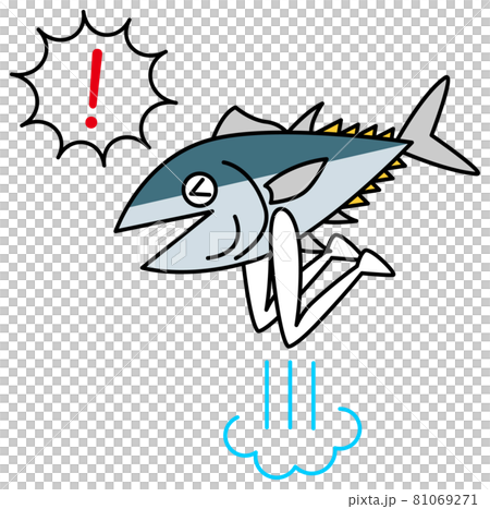 さかなくんのキャラクター マグロ ぶり ハマチ カツオ イラスト ベクターのイラスト素材