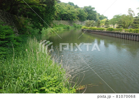 彦根城の堀(滋賀県彦根市金亀町) 彦根城の堀(滋賀県彦根市金亀町) 81070068