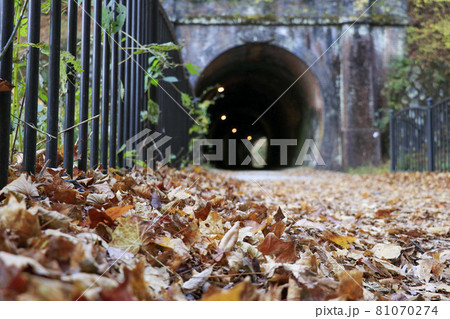アプトの道と秋の落ち葉 81070274