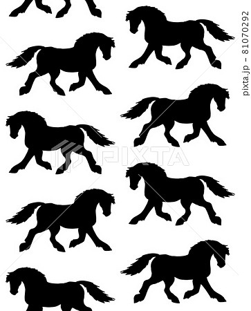 Vector seamless pattern of hand drawn draft horse 81070292
