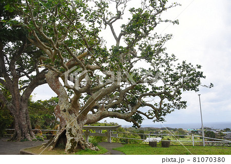 阿権八幡神社からの風景 81070380