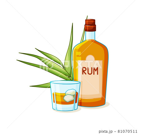 Glass bottle of 10 Cane Rum photographed on a white background Stock Photo  - Alamy