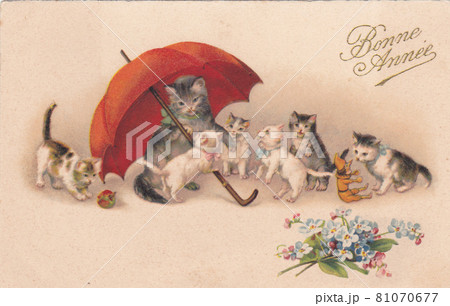 100年前のフランスの猫のアンティークポストカードの写真素材