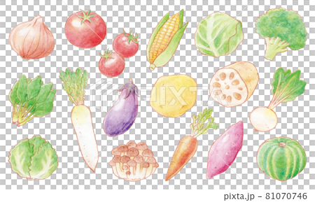 Hand drawn vegetable illustration set 1 81070746