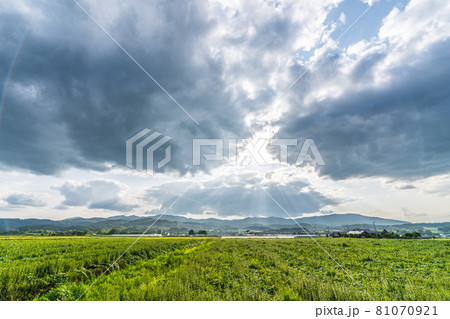 北海道・美瑛 国道237号富良野線 天使の階段 北海道・美瑛 国道237号富良野線 天使の階段 81070921