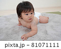 何かを見つめる赤ちゃん 81071111