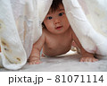 タオルから覗き込む赤ちゃん 81071114
