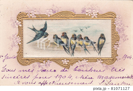 100年前のフランスのつばめのアンティークポストカードの写真素材
