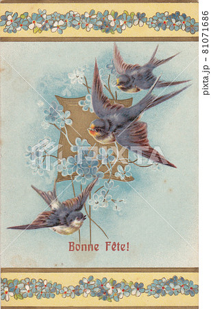 100年前のフランスの花と鳥が描かれたアンティークポストカード 100年前のフランスの花と鳥が描かれたアンティークポストカード 81071686