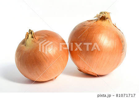 たまねぎ（天心たまねぎ） 81071717