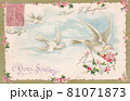 100年前のフランスのお花と鳥が描かれたアンティークポストカード 81071873