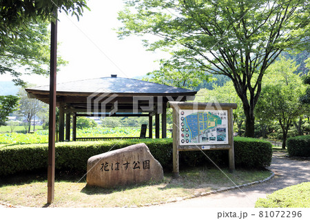 花はす公園(福井県 南越前町) 花はす公園(福井県 南越前町) 81072296