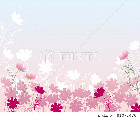 コスモスの花の背景のイラスト素材