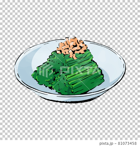 手書きラフスケッチ_葉物野菜のおひたし 81073458