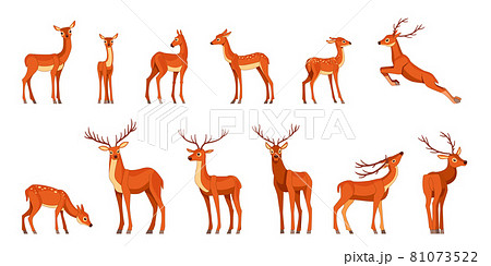 Cute deer with antlers, vector illustrationのイラスト素材