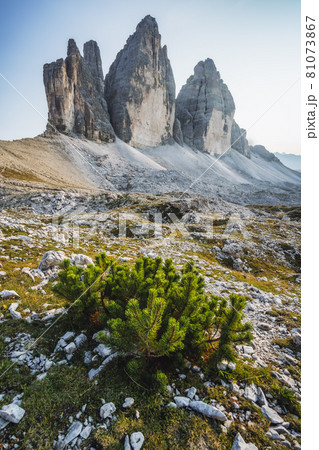 The Tre Cime di Lavaredo, in the Sexten Dolomites, Italy The Tre Cime di Lavaredo, in the Sexten Dolomites, Italy 81073867