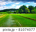 田舎の田んぼ 81074077