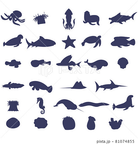 Set of sea animal silhouette on white background. Collection of underwater life design element. Vector marine cartoon drawing. Part 2 Set of sea animal silhouette on white background. Collection of underwater life design element. Vector marine cartoon drawing. Part 2 81074855