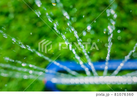 Lawn sprinkler spaying water over green grass 81076360