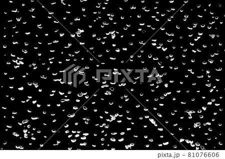 White abstract bubbles on a black background of water 81076606