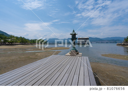 厳島神社　火焼前と修復中の大鳥居＜広島県宮島/8月＞ 81076656