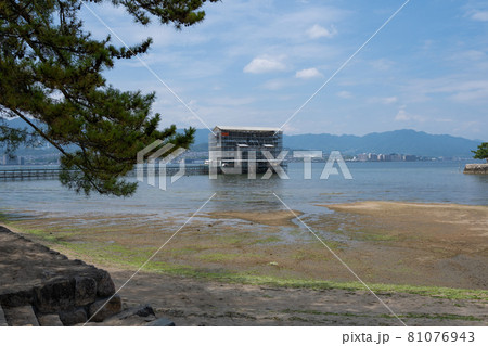 厳島神社の修復中の大鳥居と周辺風景＜広島県宮島/8月＞ 81076943