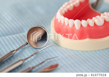 Dental artificial jaw and dental instrument on table closeup Dental artificial jaw and dental instrument on table closeup 81077028