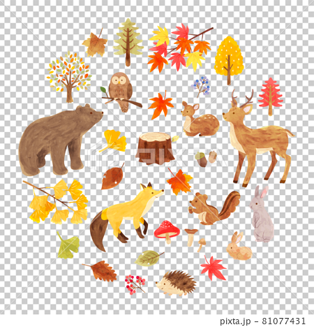 秋の森と動物たちのイラストセット　手描き水彩画 81077431