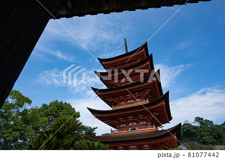 豊国神社から五重塔を望む<広島県宮島/8月> 豊国神社から五重塔を望む<広島県宮島/8月> 81077442