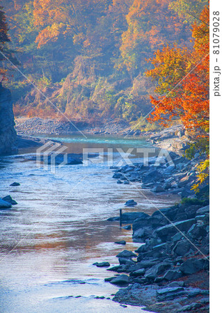 朝靄の長瀞、荒川　秋の風景　金石水管橋からの眺め　紅葉の景色　　 81079028
