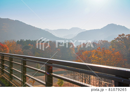 長瀞 秋の風景 金石水管橋より 紅葉の景色 長瀞 秋の風景 金石水管橋より 紅葉の景色 81079265