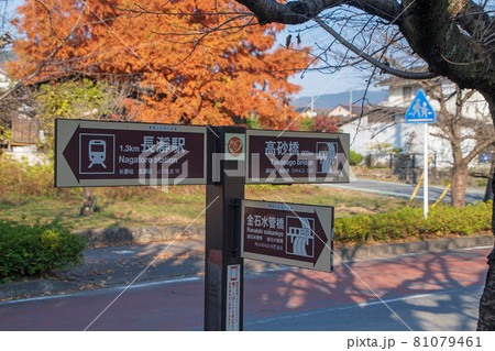 長瀞町 秋の風景 桜通り 長瀞町 秋の風景 桜通り 81079461
